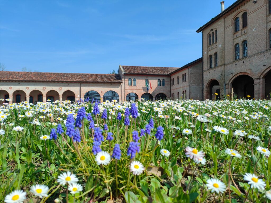 Museo nazionale di archeologia del mare